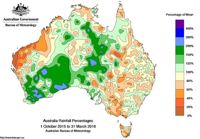 Rainfall chart